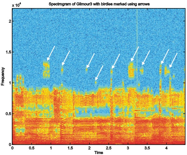 Spectrogram showing the presence of musical noise artifacts, with random bright spots scattered across the frequency spectrum indicating tonal artifacts left by basic spectral subtraction